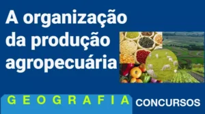 thumb organizacao da producao agropecuaria no brasil e mundo