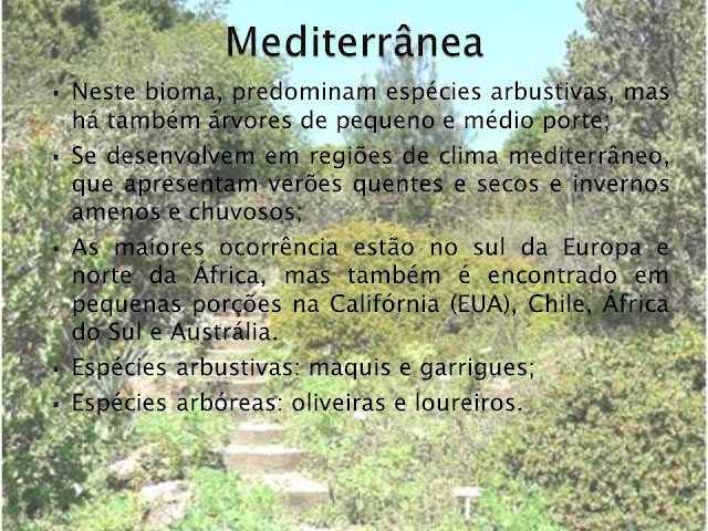 slide vegetação mediterrânea vegetação mundial
