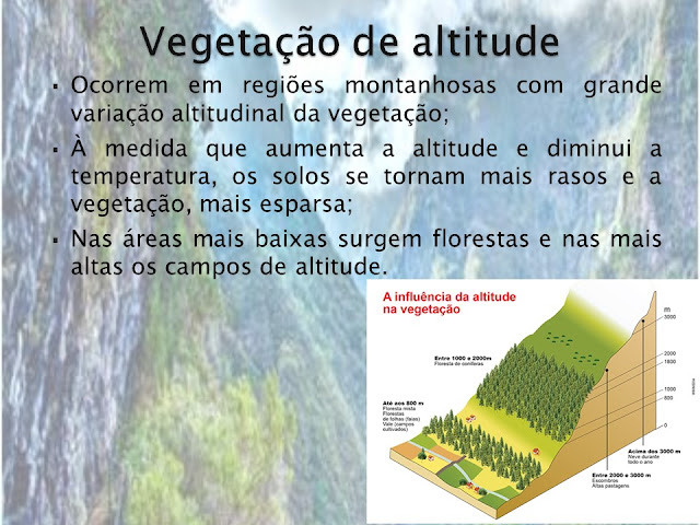 slide vegetação de altitude vegetação mundial