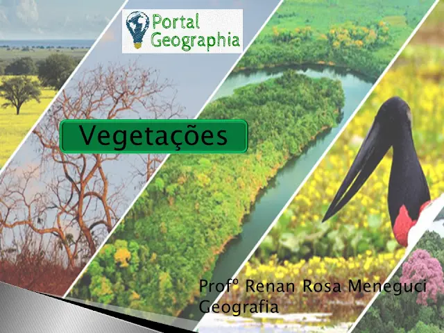 Slide sobre Vegetação Mundial