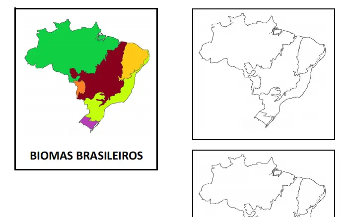 Lapbook dos Biomas Brasileiros