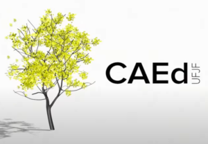 avaliacao diagnostica mg 2025 caed ufjf