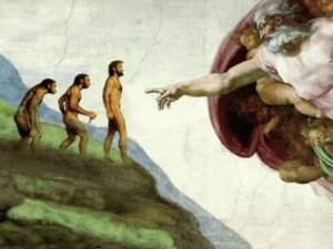 teorias do criacionismo e evolucionismo