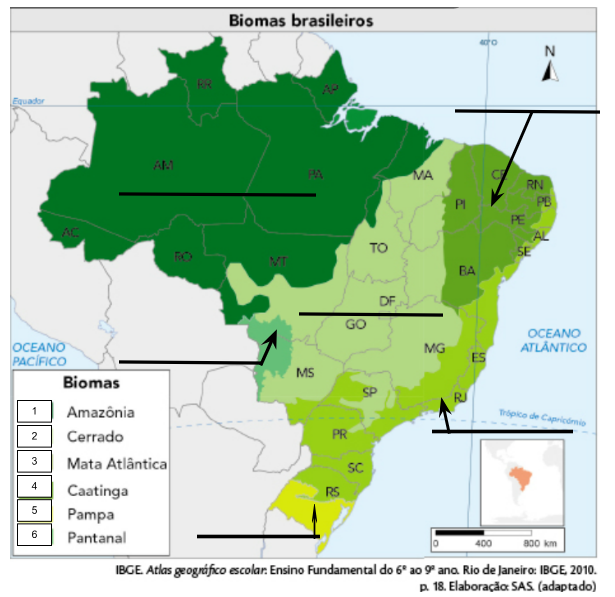 questão pra prova sobre biomas brasileiros