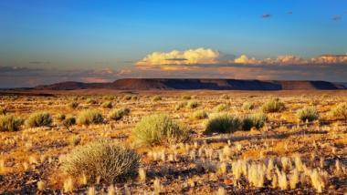 imagem deserto do kalahari