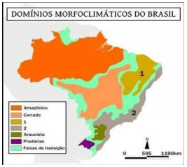 domínios morfoclimáticos do brasil