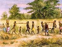 trabalho nas colônias de exploração