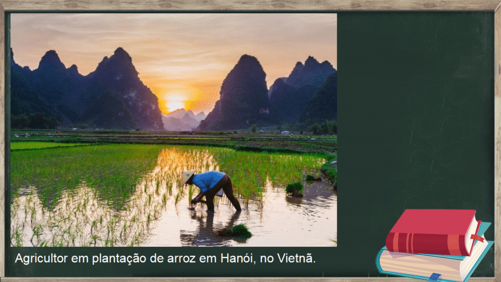 Slide continente asiático 8 slide sudeste asiático Agricultor em plantação de arroz em Hanói, no Vietnã.