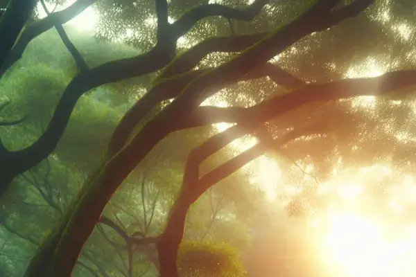 tai chi chuan arte marcial