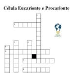 thumb cruzadinha célula eucarionte e procarionte biologia